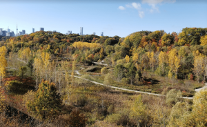 10 Best Hiking Trails in Toronto - The Activity Map - Best of Things to ...